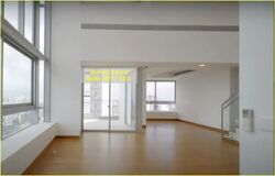 Skyline @ Orchard Boulevard (D9), Apartment #589388081